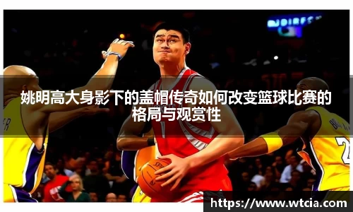 姚明高大身影下的盖帽传奇如何改变篮球比赛的格局与观赏性
