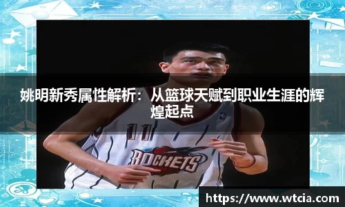 姚明新秀属性解析：从篮球天赋到职业生涯的辉煌起点