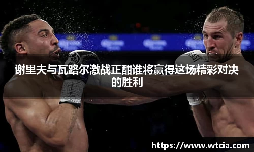 谢里夫与瓦路尔激战正酣谁将赢得这场精彩对决的胜利
