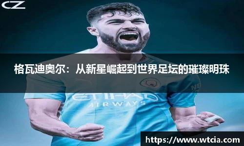 格瓦迪奥尔：从新星崛起到世界足坛的璀璨明珠